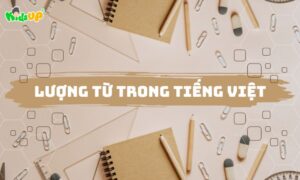 lượng từ trong tiếng việt