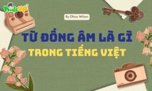 từ đồng âm là gì trong tiếng Việt