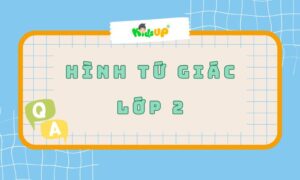 hình tứ giác lớp 2