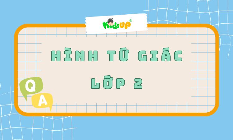 hình tứ giác lớp 2