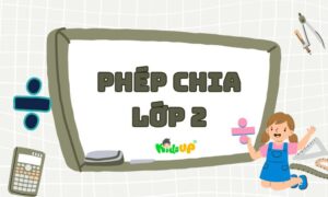 phép chia lớp 2