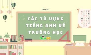 các từ vựng tiếng anh về trường học