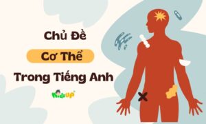 chủ đề cơ thể trong tiếng anh