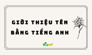 giới thiệu tên bằng tiếng Anh