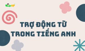 trợ động từ trong tiếng anh