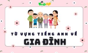 từ vựng tiếng anh về gia đình