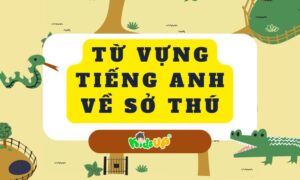 từ vựng tiếng anh về sở thú