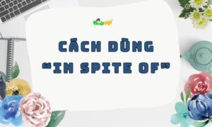 cách dùng in spite of