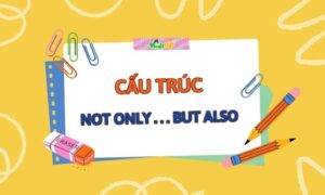 cấu trúc not only but also