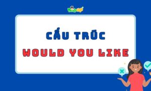 cấu trúc would you like